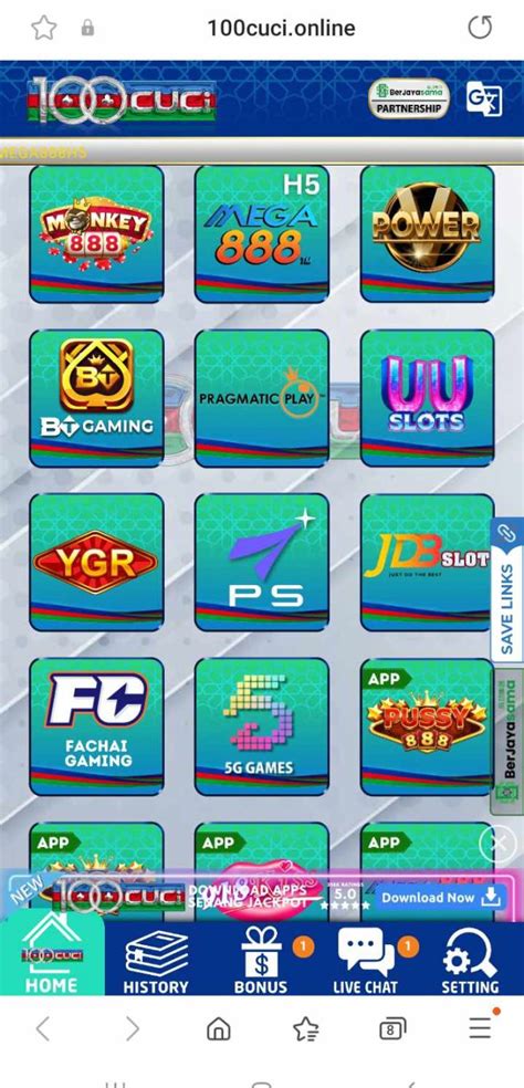 100cuci plus